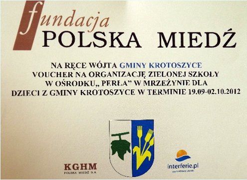 Fundacja Polska Miedź