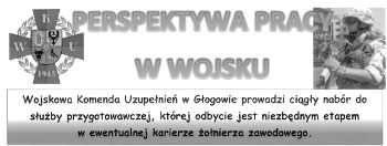 Perspektywa pracy w wojsku