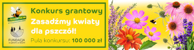 Konkurs grantowy