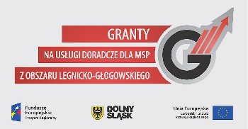 Granty na usługi doradcze dla MSP z Obszaru Legnicko-Głogowskiego