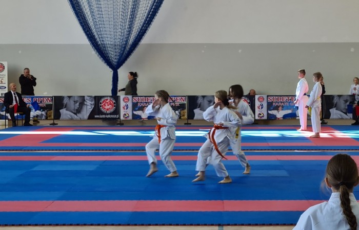 zdjęcie drużyny wykonującej kata